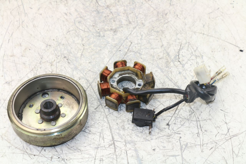 photo de Rotore Statore ZNEN NEW ROLANDO 50 (2010 - 2020) - Ricambio usato controllato