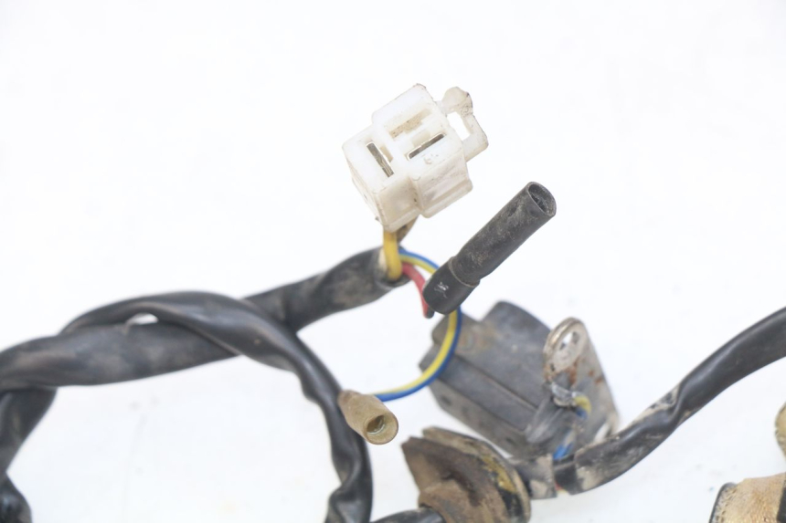photo de ROTOR STATOR JM MOTORS OLDIES 4T 50 (2010 - 2020) - Zoom sullo stato d'uso