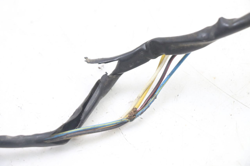 photo de ROTOR STATOR PEUGEOT TKR TREKKER FURIOUS 50 (2005 - 2014) - Caratteristiche distintive