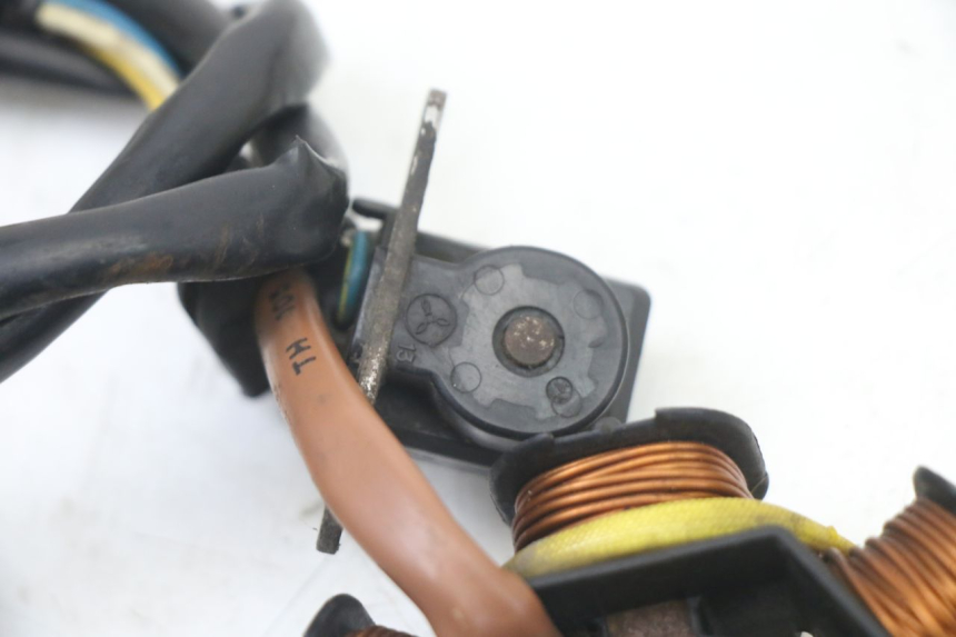 photo de ROTOR STATOR PEUGEOT TKR TREKKER FURIOUS 50 (2005 - 2014) - Ricambio usato controllato