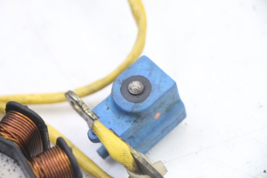 photo de ROTOR STATOR PIAGGIO X8 125 (2004 - 2007) - Ricambio usato controllato