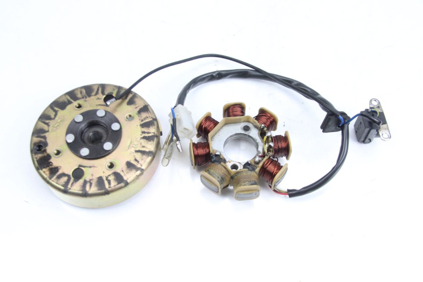 photo de ROTOR STATOR TNT MOTOR ROMA 10' 4T 50 (2007 - 2018) - Dettaglio del componente