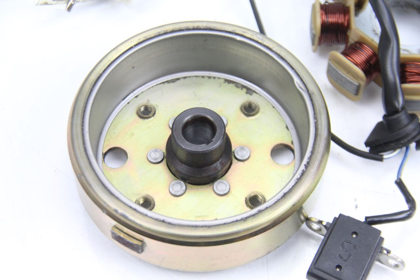 photo de ROTOR STATOR TNT MOTOR ROMA 10' 4T 50 (2007 - 2018) - Primo piano tecnico