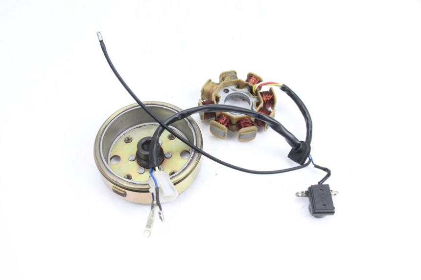 photo de ROTOR STATOR TNT MOTOR ROMA 10' 4T 50 (2007 - 2018) - Vista d'insieme del prodotto