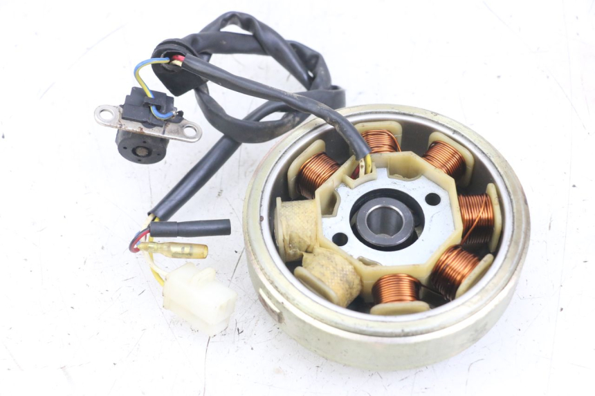 photo de ROTOR STATOR TNT MOTOR ROMA 10' 4T 50 (2007 - 2018) - Dettaglio del componente