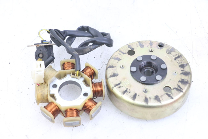 photo de ROTOR STATOR TNT MOTOR ROMA 10' 4T 50 (2007 - 2018) - Zoom sullo stato d'uso