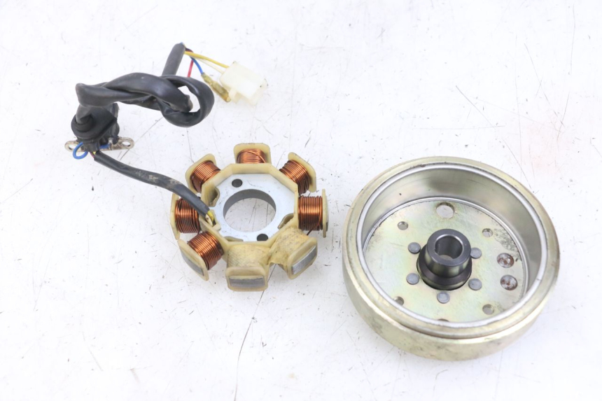 photo de ROTOR STATOR TNT MOTOR ROMA 10' 4T 50 (2007 - 2018) - Primo piano tecnico