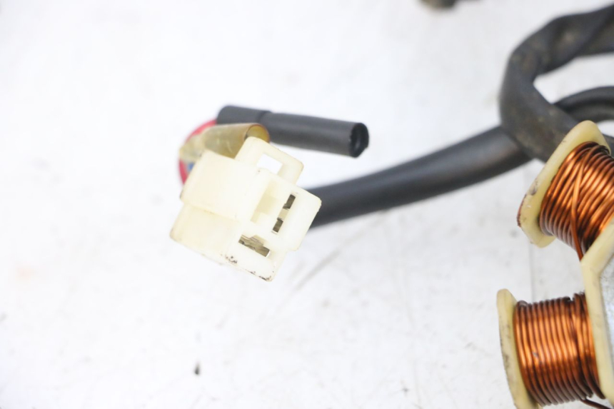 photo de ROTOR STATOR TNT MOTOR ROMA 10' 4T 50 (2007 - 2018) - Dettagli dei punti di fissaggio