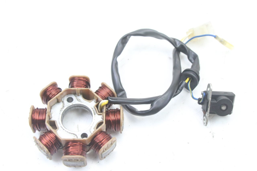 photo de ROTOR STATOR TNT MOTOR ROMA 10' 4T 50 (2019 - 2022) - Primo piano tecnico