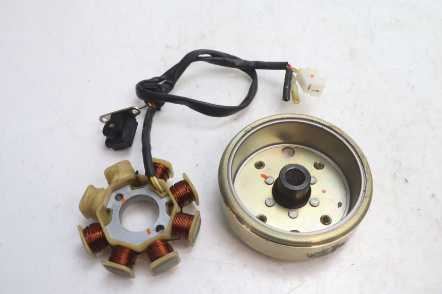 photo de ROTOR STATOR TNT MOTOR ROMA 10' 4T 50 (2007 - 2018) - Dettaglio del componente