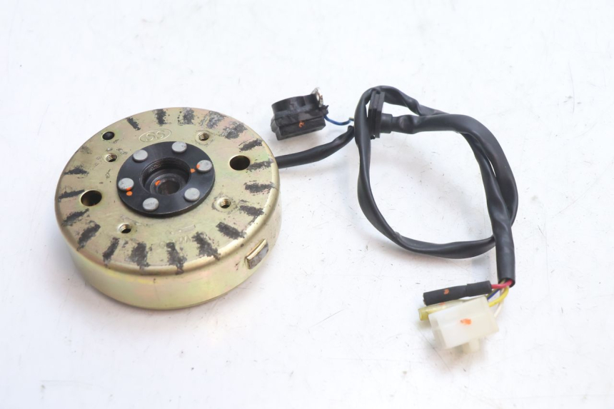 photo de ROTOR STATOR TNT MOTOR ROMA 10' 4T 50 (2007 - 2018) - Zoom sullo stato d'uso