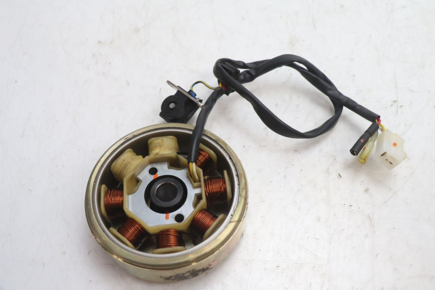 photo de ROTOR STATOR TNT MOTOR ROMA 10' 4T 50 (2007 - 2018) - Altra angolazione