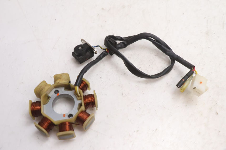 photo de ROTOR STATOR TNT MOTOR ROMA 10' 4T 50 (2007 - 2018) - Primo piano tecnico