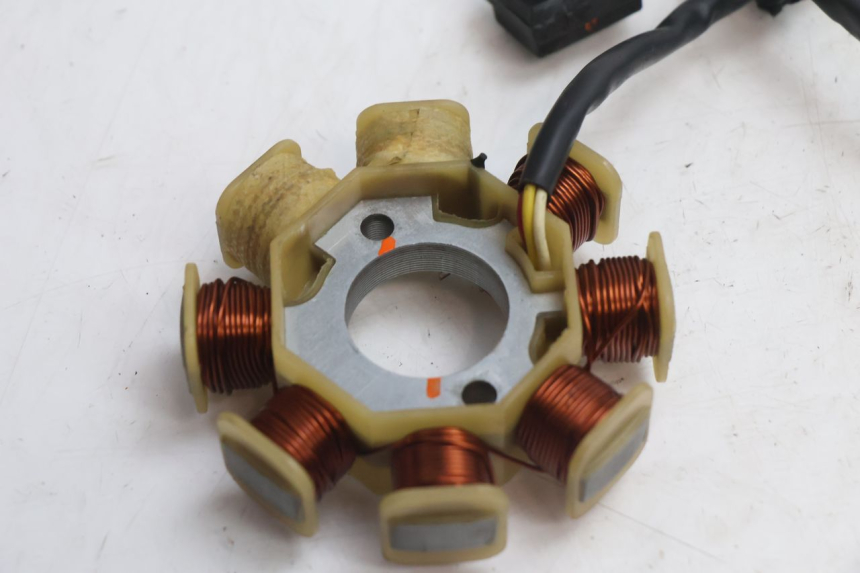 photo de ROTOR STATOR TNT MOTOR ROMA 10' 4T 50 (2007 - 2018) - Vista d'insieme del prodotto