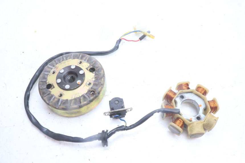 photo de ROTOR STATOR TNT MOTOR ROMA 10' 4T 50 (2007 - 2018) - Vista principale