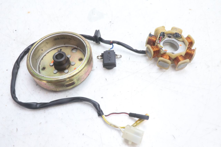 photo de ROTOR STATOR TNT MOTOR ROMA 10' 4T 50 (2007 - 2018) - Dettaglio del componente