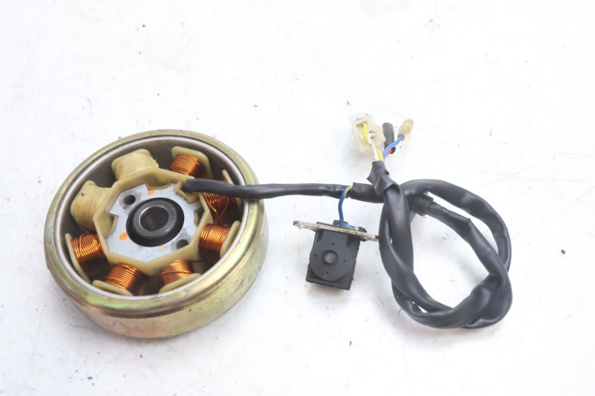 photo de ROTOR STATOR TNT MOTOR ROMA 10' 4T 50 (2007 - 2018) - Altra angolazione