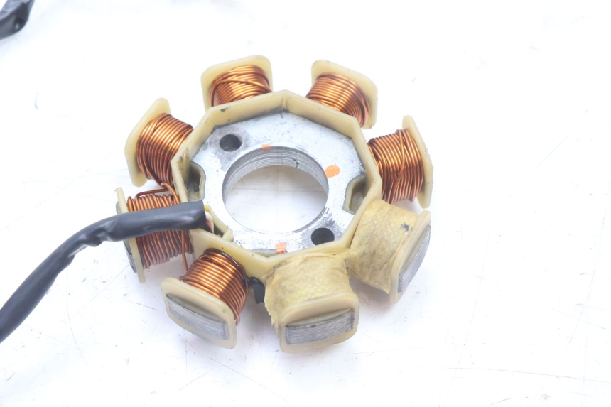 photo de ROTOR STATOR TNT MOTOR ROMA 10' 4T 50 (2007 - 2018) - Stato della superficie e materiale