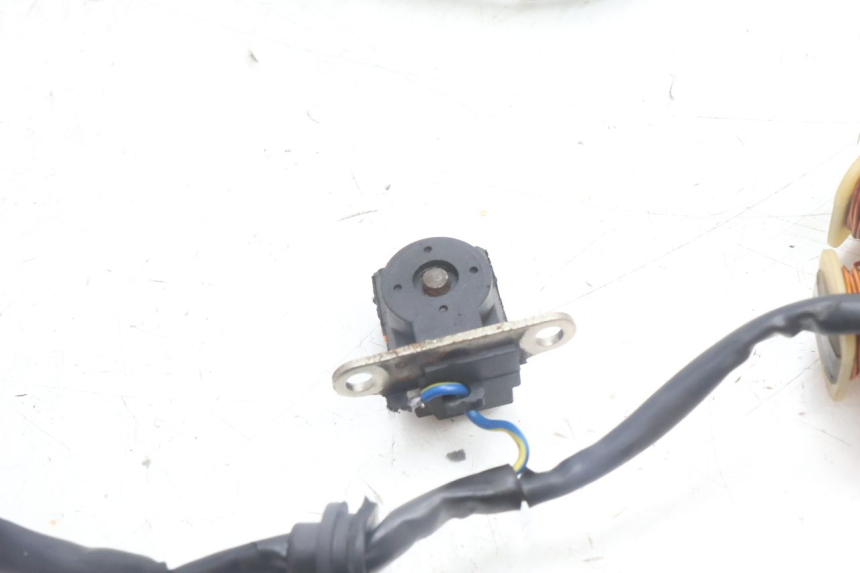 photo de ROTOR STATOR TNT MOTOR ROMA 10' 4T 50 (2007 - 2018) - Ricambio usato controllato