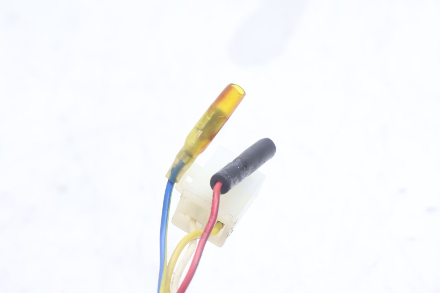 photo de ROTOR STATOR TNT MOTOR ROMA 10' 4T 50 (2007 - 2018) - Marcature e riferimenti originali