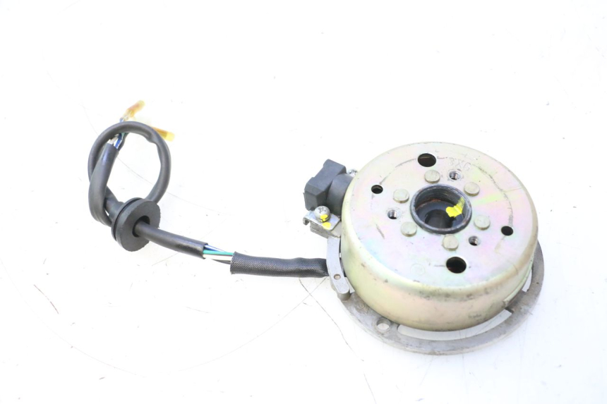 photo de STATORE TNT MOTOR ROMA 12' 2T 50 (2007 - 2018) - Dettaglio del componente