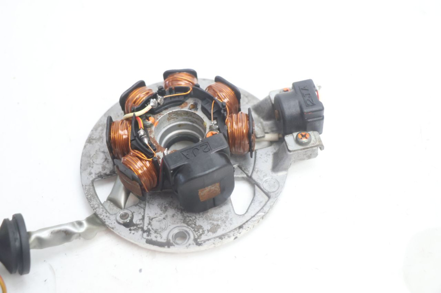 photo de STATORE YAMAHA SLIDER 50 (1999 - 2004) - Stato della superficie e materiale