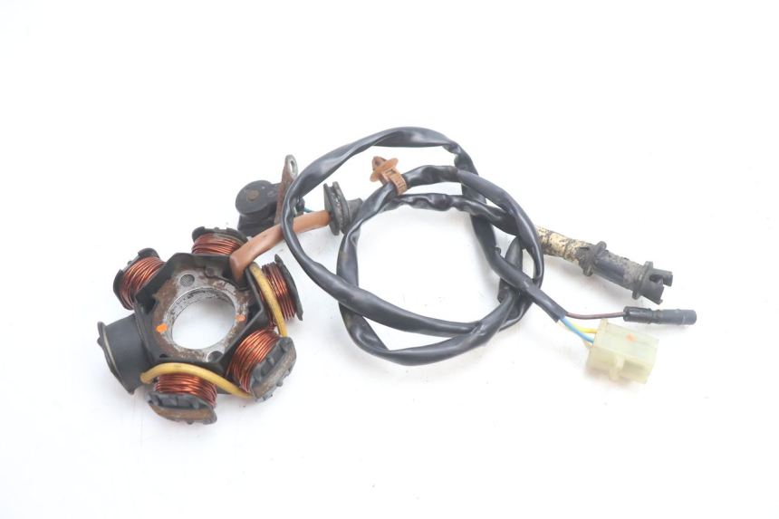 photo de STATORE PEUGEOT SPEEDFIGHT 2 AC 50 (2000 - 2009) - Primo piano tecnico