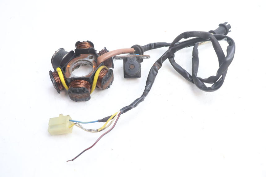 photo de STATORE PEUGEOT SPEEDFIGHT 2 AC 50 (2000 - 2009) - Stato della superficie e materiale