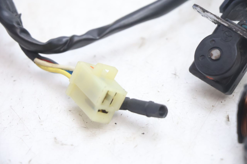 photo de STATORE PEUGEOT SPEEDFIGHT LC 50 (1996 - 2002) - Stato della superficie e materiale