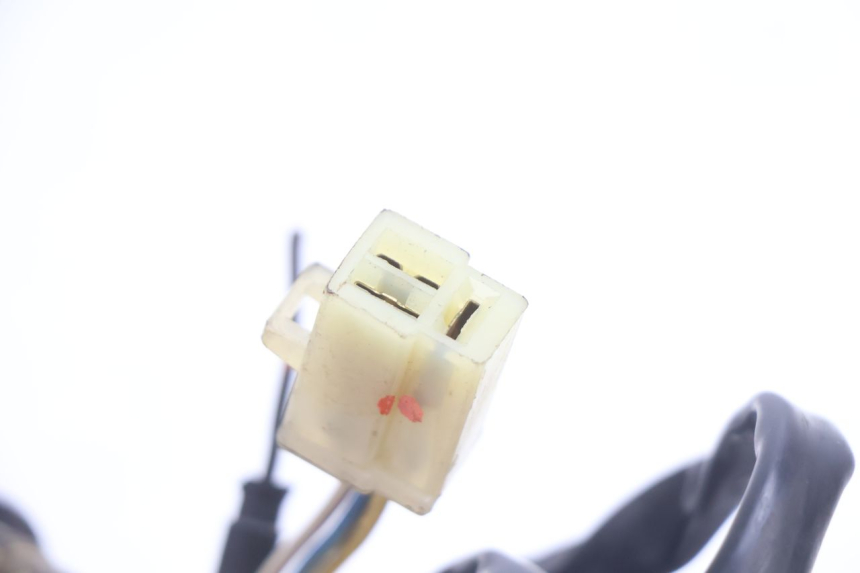 photo de STATORE PEUGEOT SPEEDFIGHT LC 50 (1996 - 2002) - Stato della superficie e materiale