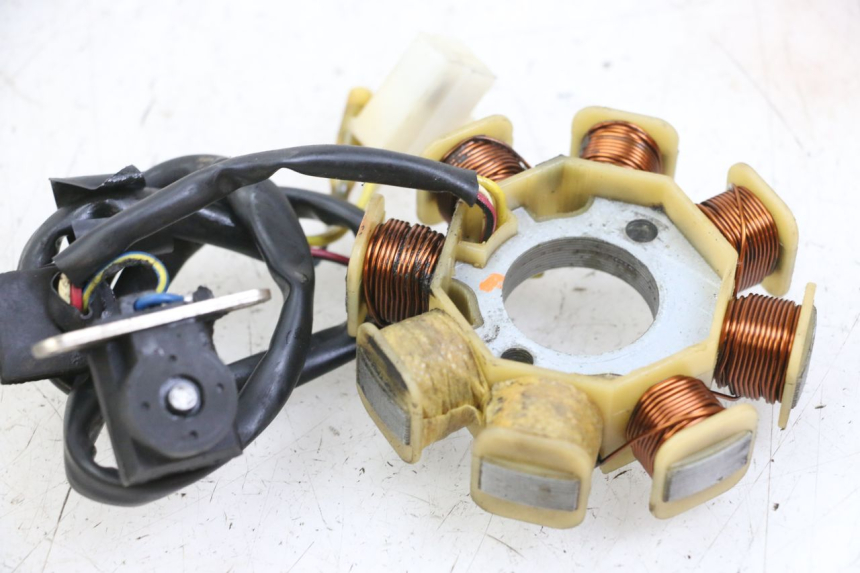 photo de ROTOR STATOR JM MOTORS SUNNY 50 (2017 - 2020) - Dettaglio del componente