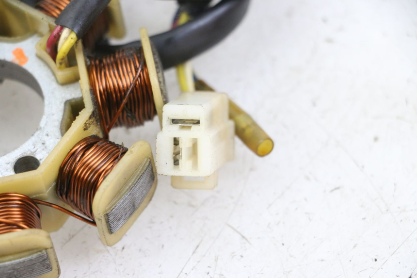 photo de ROTOR STATOR JM MOTORS SUNNY 50 (2017 - 2020) - Altra angolazione