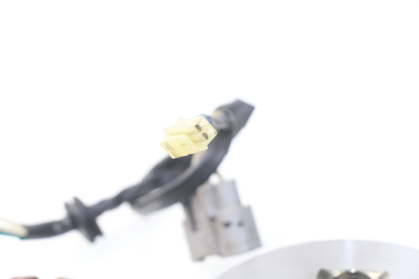 photo de STATORE YAMAHA TDM ABS 900 (2002 - 2014) - Stato della superficie e materiale