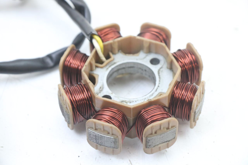 photo de ROTOR STATOR TNT MOTOR ROMA 10' 4T 50 (2019 - 2022) - Vista d'insieme del prodotto