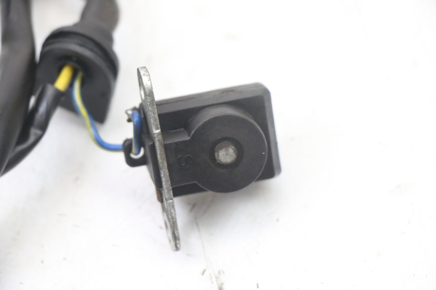 photo de ROTOR STATOR TNT MOTOR ROMA 10' 4T 50 (2019 - 2022) - Stato della superficie e materiale