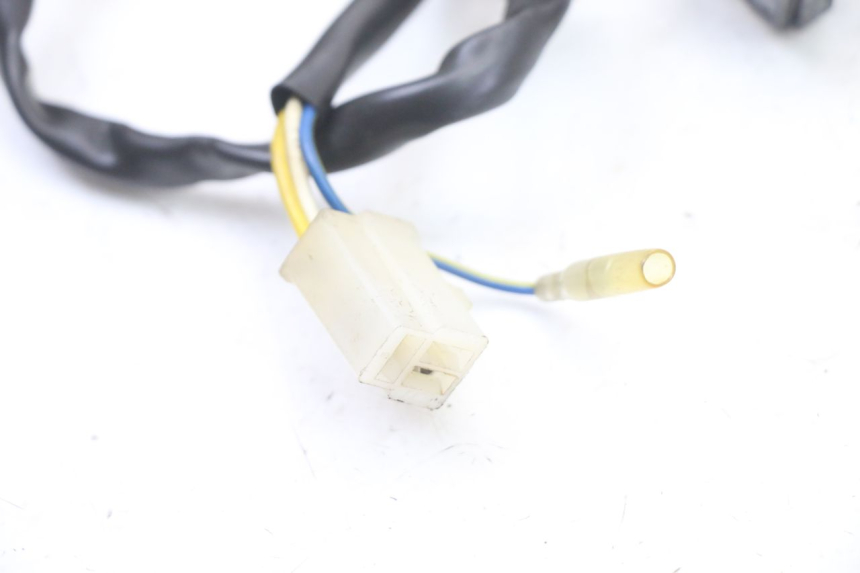 photo de ROTOR STATOR TNT MOTOR ROMA 10' 4T 50 (2019 - 2022) - Ricambio usato controllato