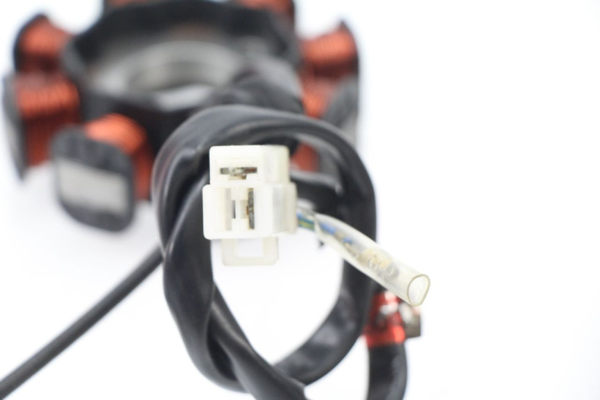 photo de STATORE SYM TONIK 125 (2010 - 2014) - Primo piano tecnico