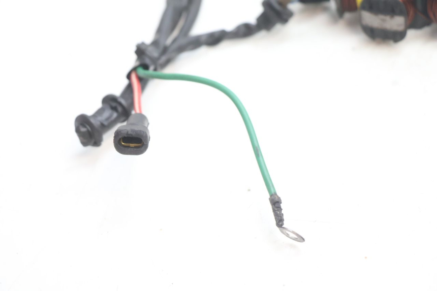 photo de STATORE PEUGEOT TREKKER 50 (1995 - 2004) - Stato della superficie e materiale