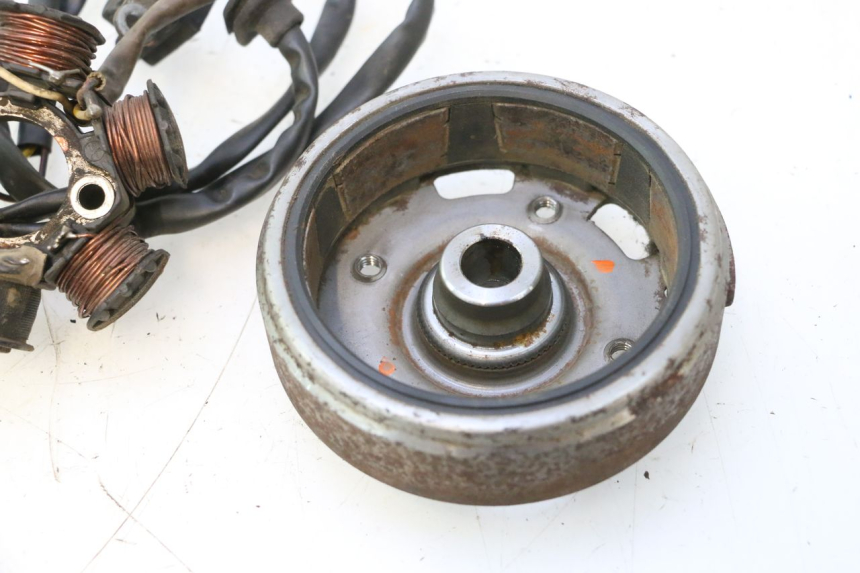 photo de STATORE PEUGEOT TREKKER 50 (1995 - 2004) - Caratteristiche distintive