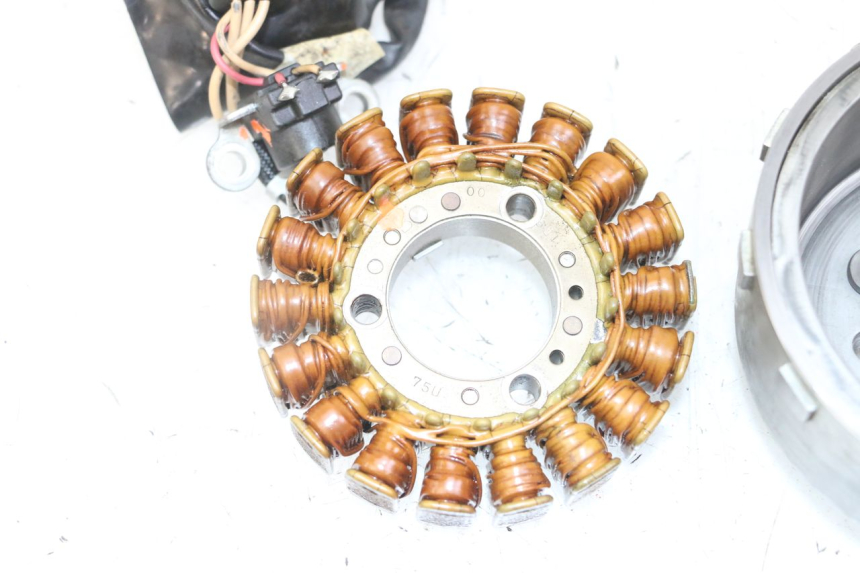 photo de STATORE YAMAHA XMAX X-MAX 125 (2006 - 2009) - Ricambio usato controllato