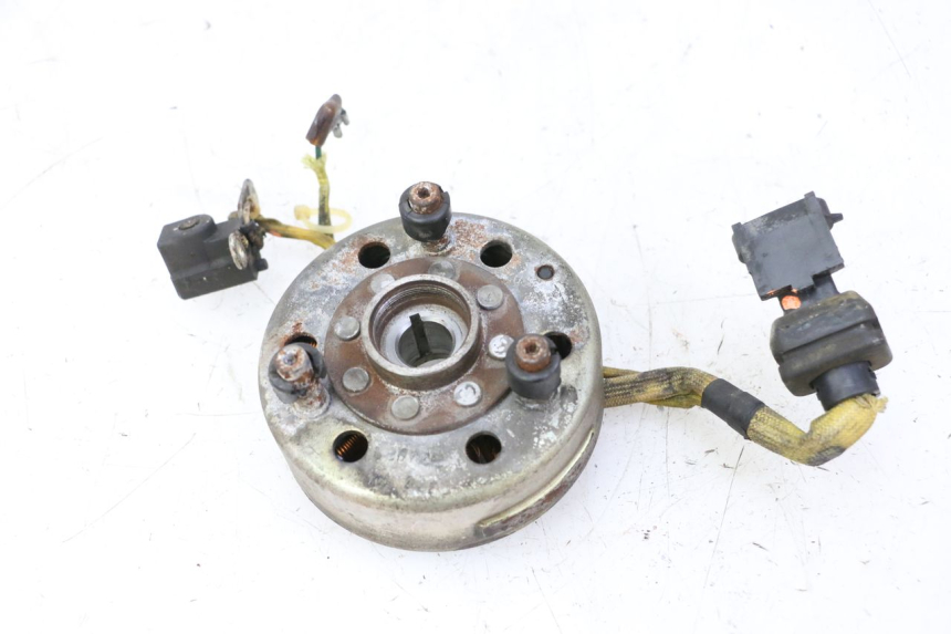 photo de ROTOR STATOR PIAGGIO X9 EVOLUTION 125 (2003 - 2007) - Dettaglio del componente