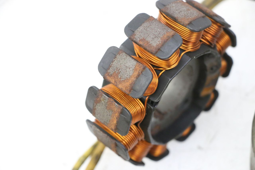 photo de ROTOR STATOR PIAGGIO X9 EVOLUTION 125 (2003 - 2007) - Caratteristiche distintive