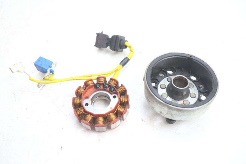 photo de ROTOR STATOR PIAGGIO X9 EVOLUTION 125 (2003 - 2007) - Dettaglio del componente