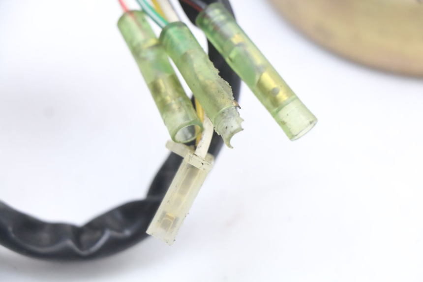 photo de STATORE YAMAHA YE ZEST 50 (1992 - 1998) - Vista d'insieme del prodotto