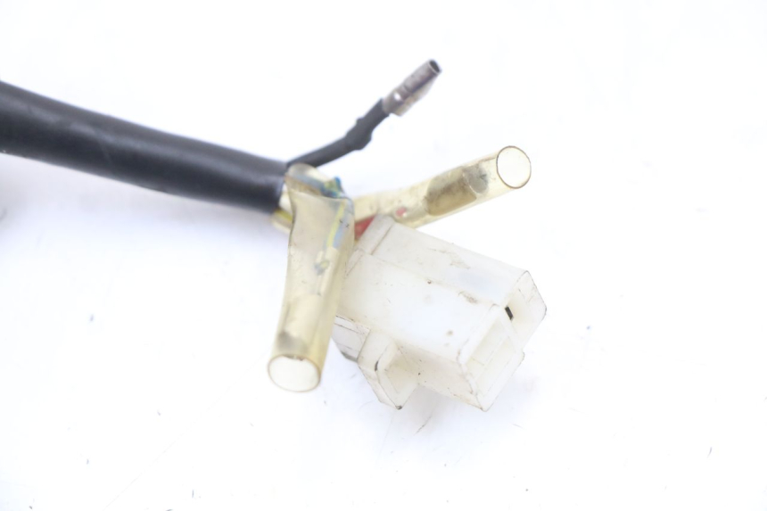 photo de STATORE UNIVERSAL BIKE ZN50QT-11B 50 (2018 - 2021) - Marcature e riferimenti originali