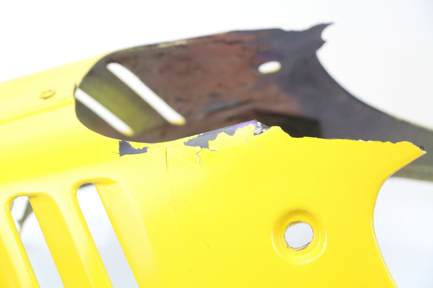 photo de Protezione motore SUZUKI GSXF GSX F 600 (1988 - 1997) - Primo piano ad alta risoluzione