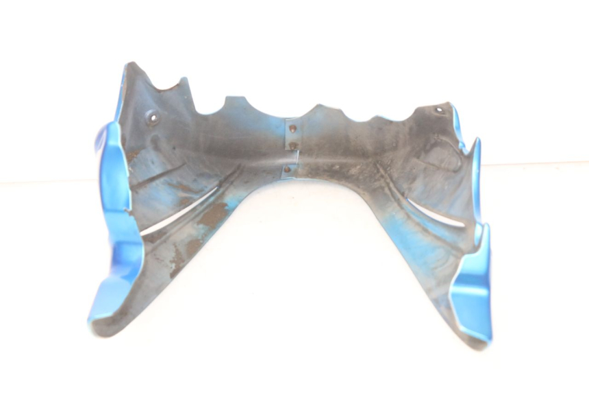 photo de PROTEZIONE MOTORE KAWASAKI Z S 750 (2003 - 2006) - Primo piano tecnico