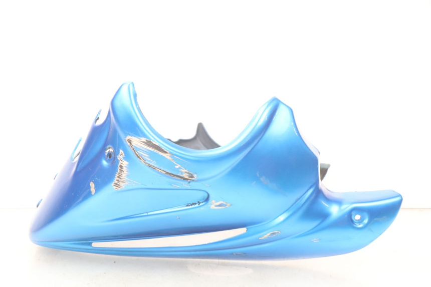 photo de PROTEZIONE MOTORE KAWASAKI Z S 750 (2003 - 2006) - Dettagli dei punti di fissaggio