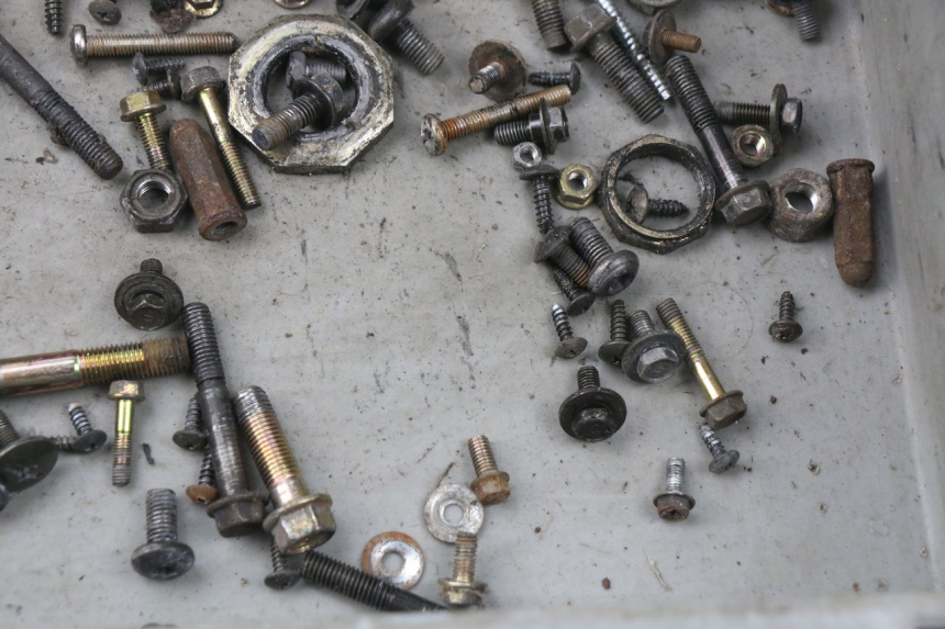 photo de SAC VITI BULLONI KYMCO AGILITY 4T 50 (2005 - 2018) - Zoom sullo stato d'uso