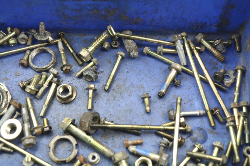 photo de SACCHETTO VITI VITE KYMCO AGILITY 125 (2005 - 2010) - Dettaglio del componente